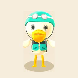 Pelly